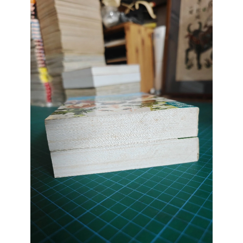 Thiếu nữ toàn phong 493855