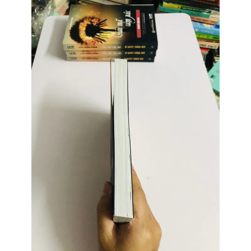 📚 GIẢI MÃ CẢM XÚC – BÍ QUYẾT THĂNG HOA (Lita Hoàn Phạm) 726091