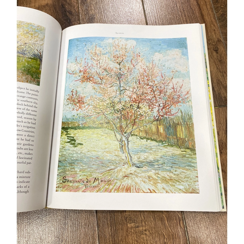 Van Gogh Paintings • The Masterpieces | by Blenda Thompson * Thames and Hudson Publisher  384217