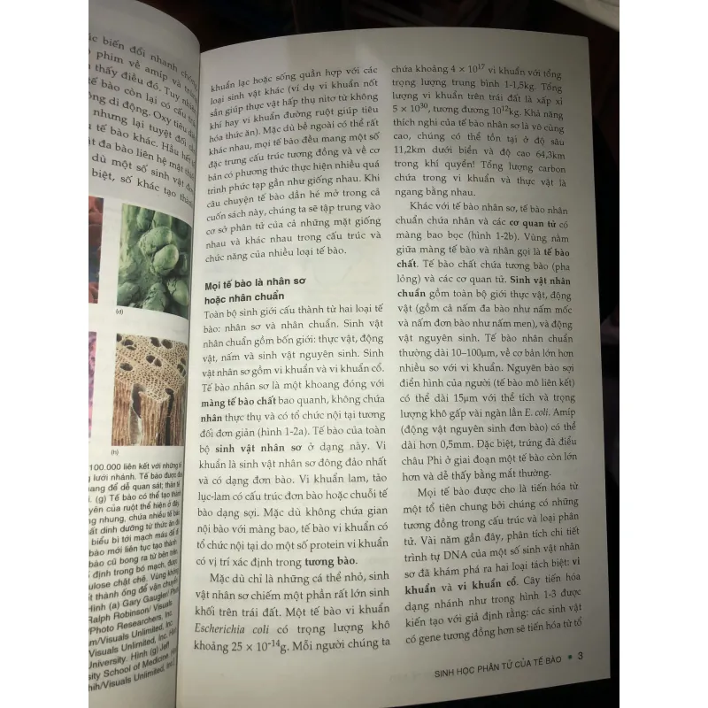 Sinh học phân tử của tế bào tập 1  1010153
