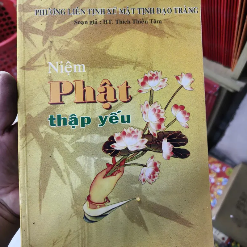 Sách - Niệm Phật Thập yếu ( bìa mềm) 755469
