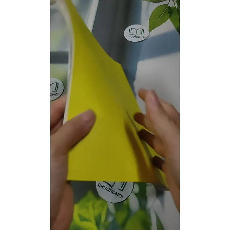 Hoá Giải Sao Hạn - Cách Dâng Sao Hạn Cho Bách Gia 727379