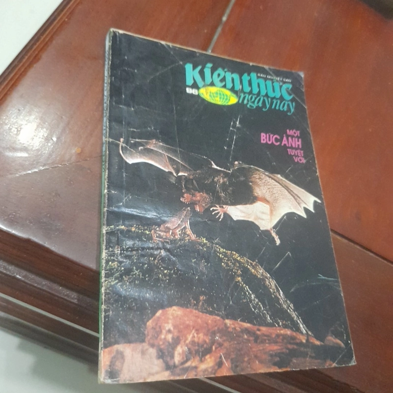Bán nguyệt san KIẾN THỨC NGÀY NAY số 96 ngày 15/11/1992 492618