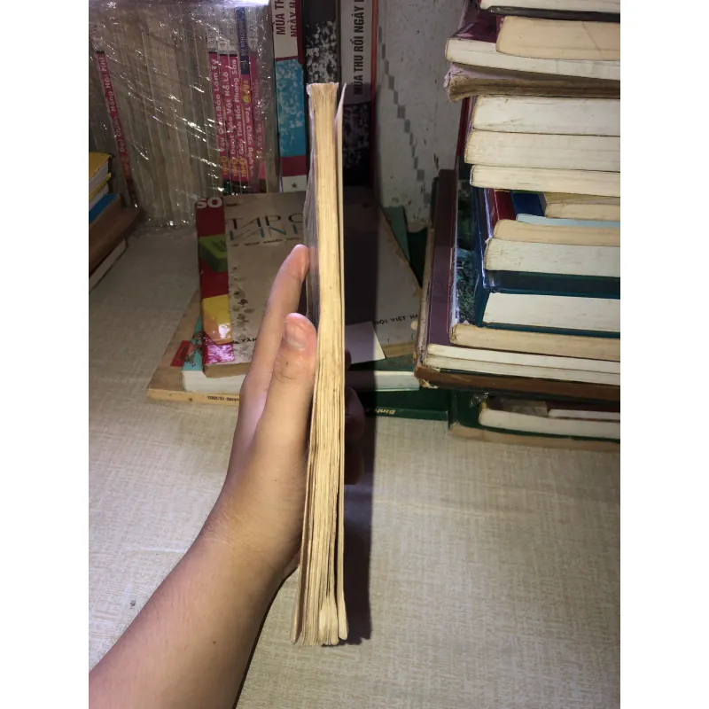 Thú chơi non bộ và kiểng bonsai 970620