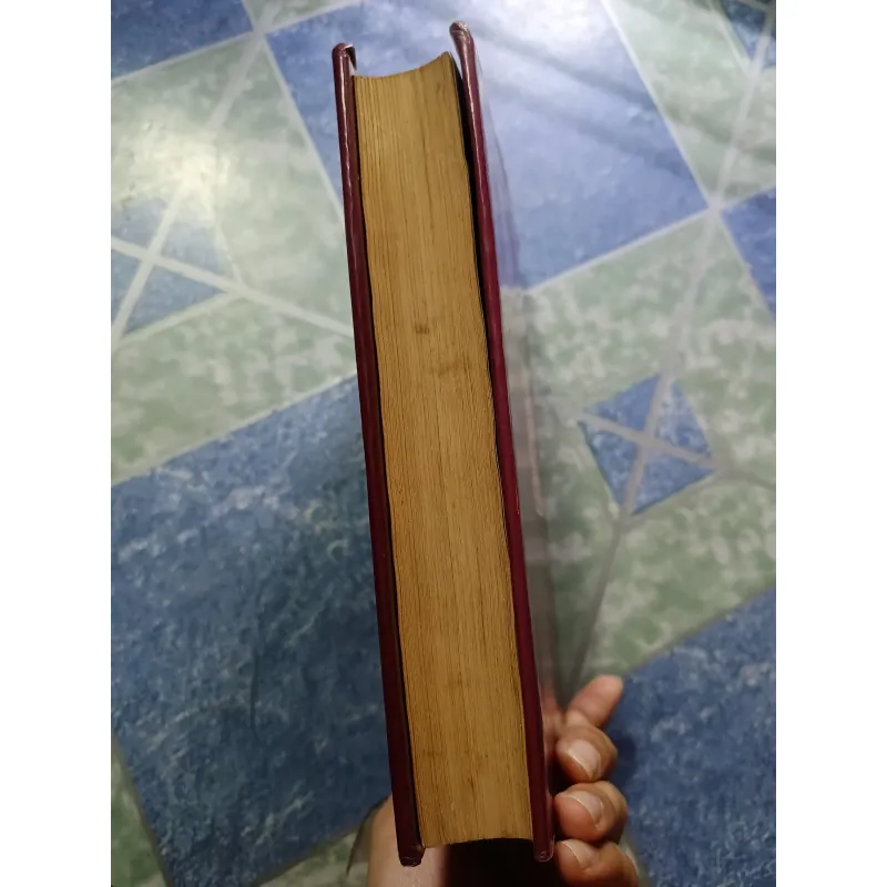 Từ điển văn hóa Việt Nam 1032752