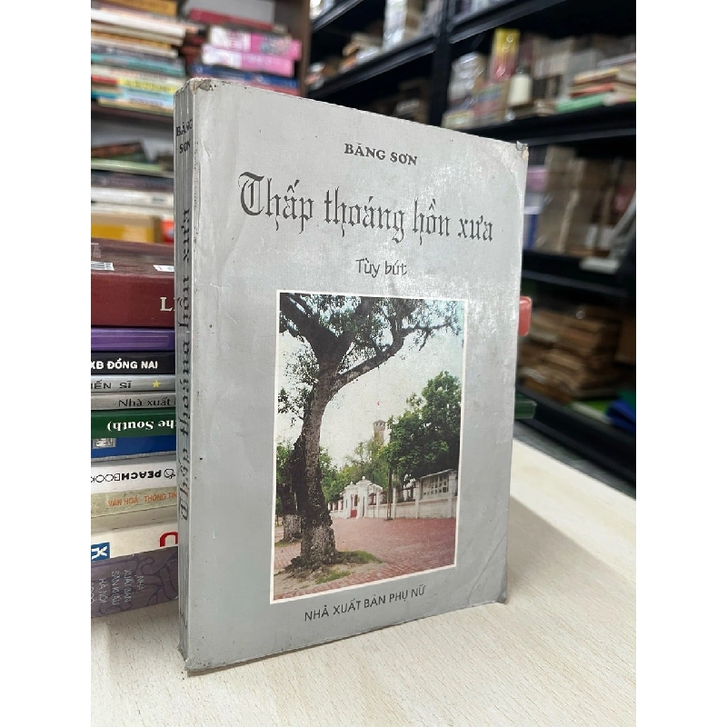 Thấp thoáng hồn xưa - Băng Sơn 728238