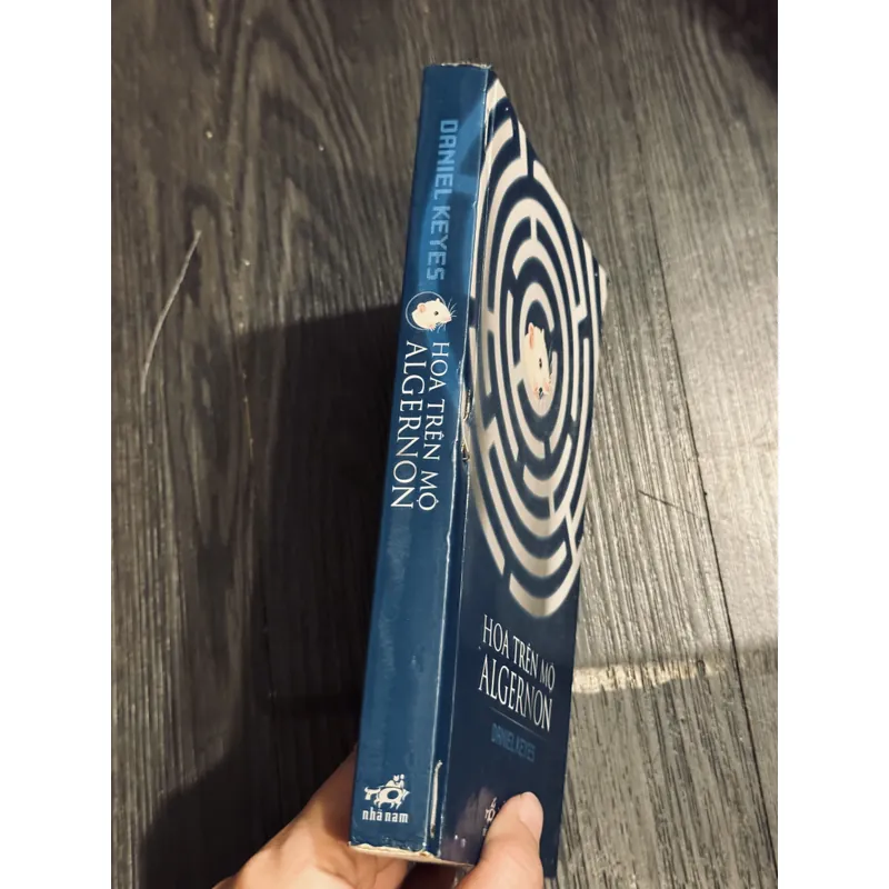 Hoa trên mộ Algernon 604514