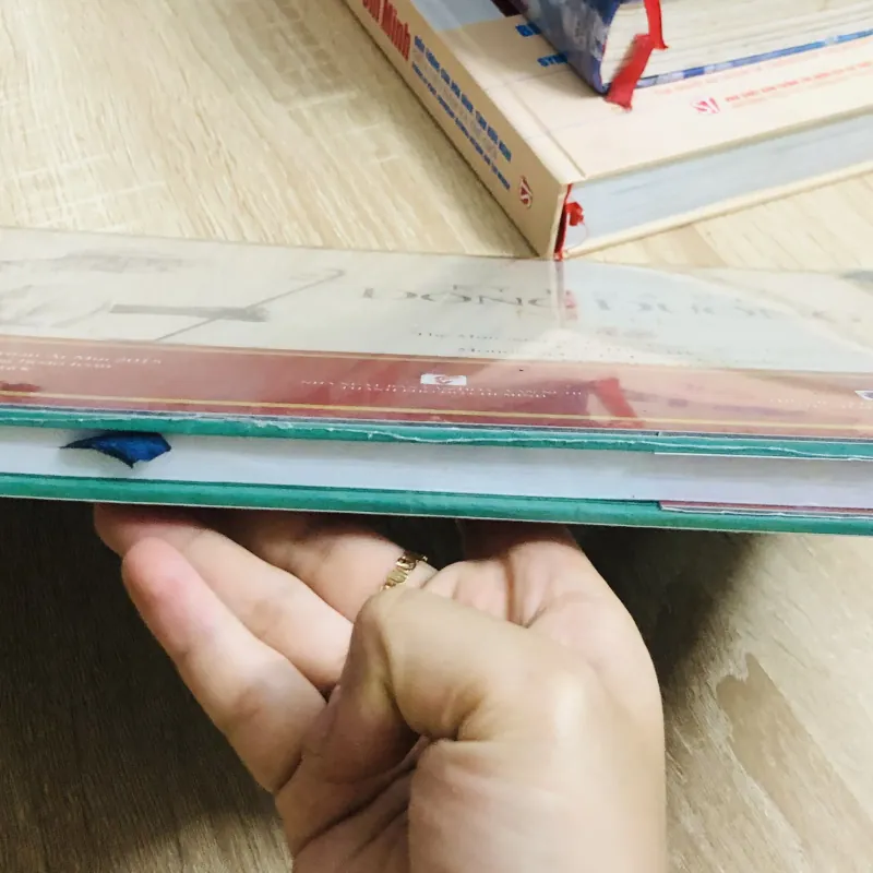 KÝ HỌA VỀ ĐÔNG DƯƠNG – NAM KỲ (bìa cứng, khổ lớn) 929396