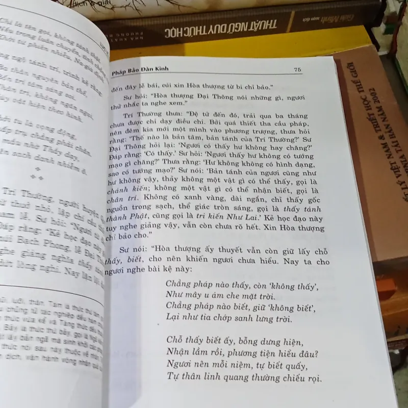 Pháp Bảo Đang Kinh - Đoàn Trung Còn - Huyền Mặc Đạo Nhơn  1022177