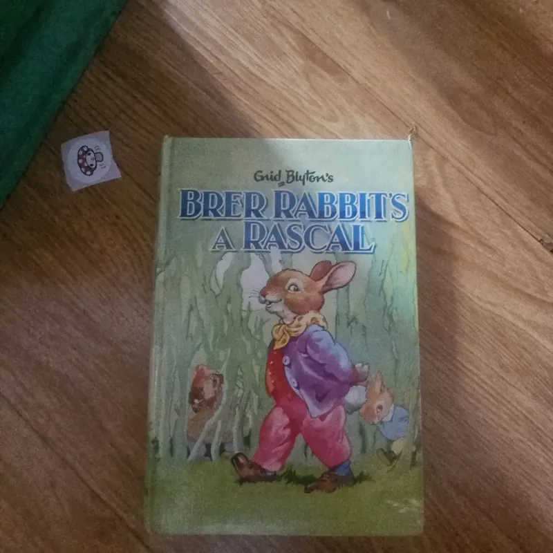 Brer rabbit's a rascal (bìa cứng) Giá 30k  603953