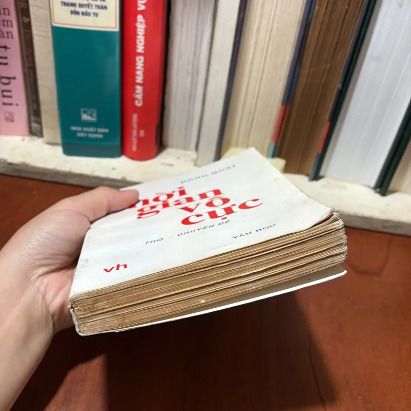 II Văn Học: Thời Gian Vô Cực (Thơ, Chuyên Đề) - Đông Hoài - 1996 781583