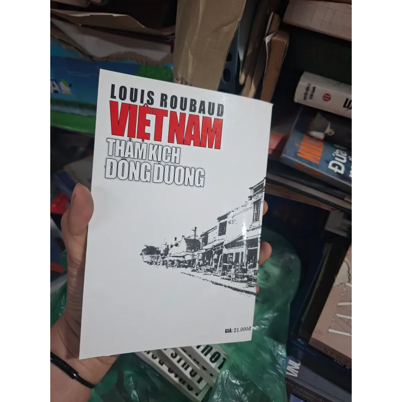 Việt Nam tấm thảm kịch Đông Dương 1001738