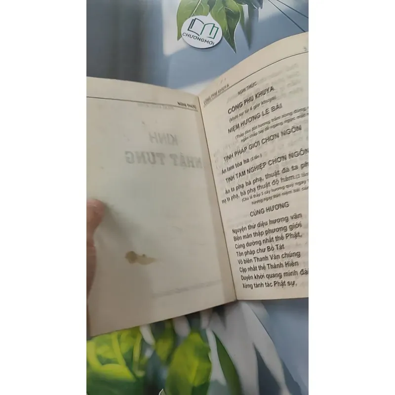 Kinh Nhật Tụng - Thích Đăng Quang 775970