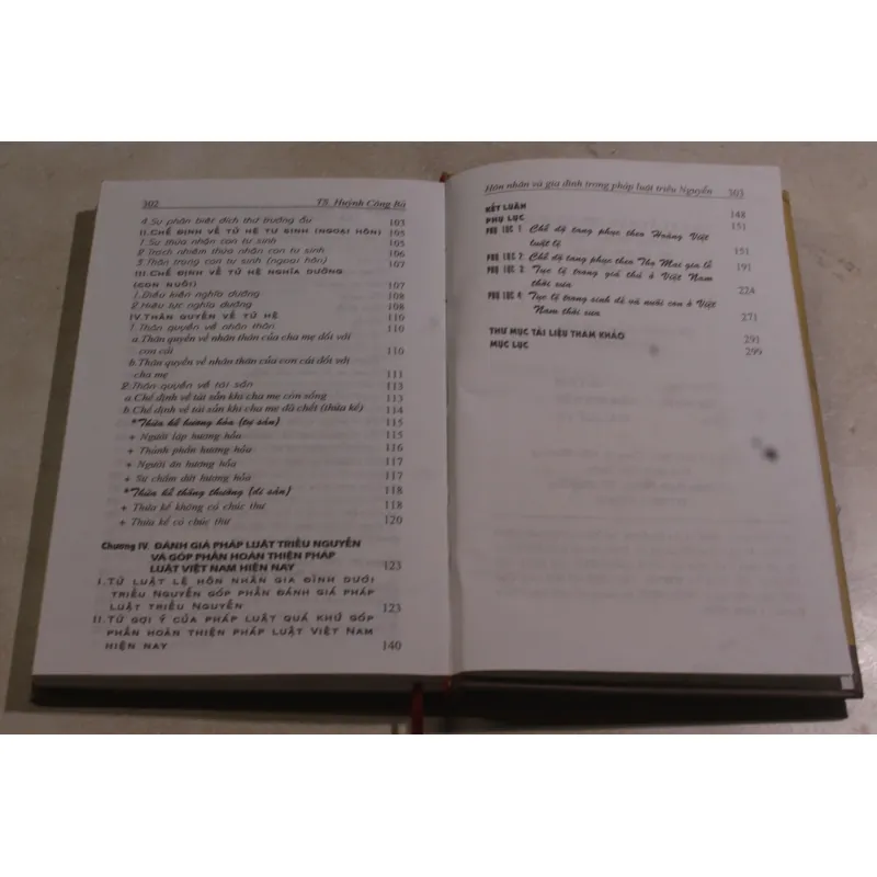 Hôn nhân và gia đình trong pháp luật triều Nguyễn 973725