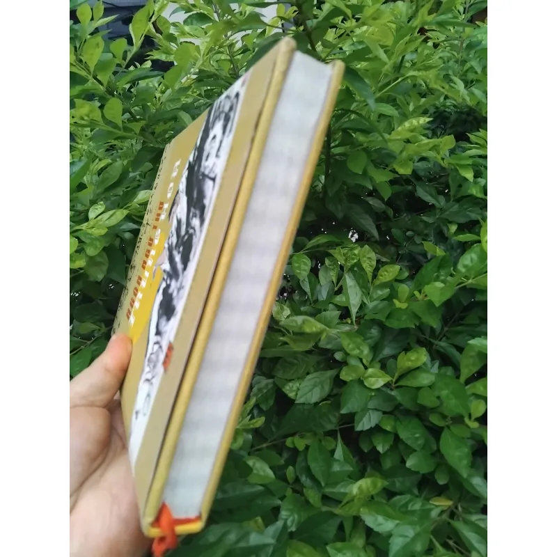 Ngôn ngữ thơ Trung Hoa của Francois Cheng  1001942