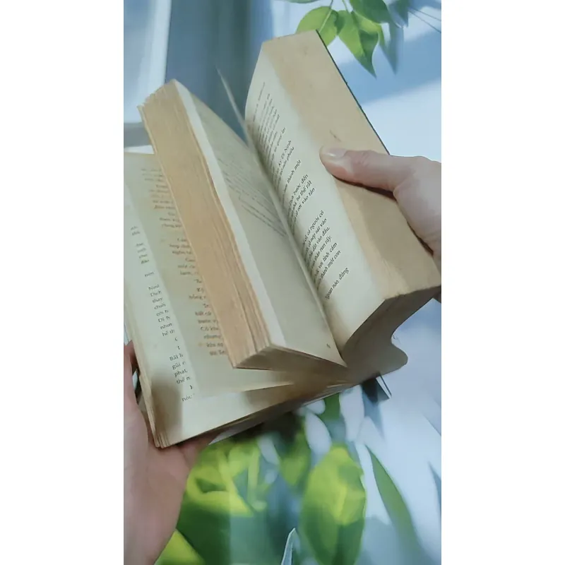 Đen Trắng - Triêu Tiểu Thành 744742