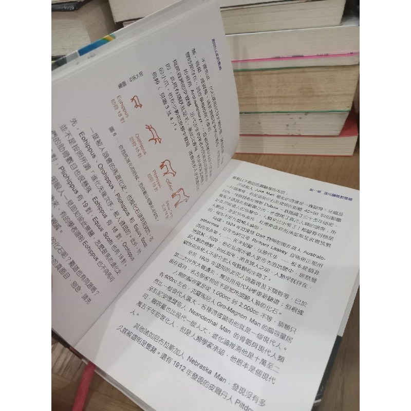 Sách tiếng Trung 28 739610