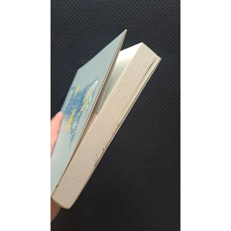Em sẽ đến cùng cơn mưa - Ichikawa Takuji  1042113