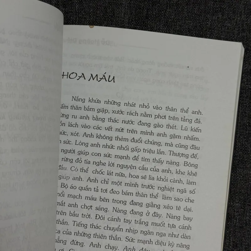 Bóng đè - Đỗ Hoàng Diệu 996744