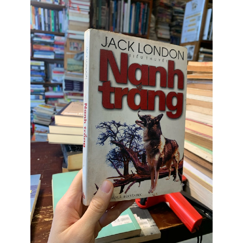 Nanh trắng - Jack London 126185