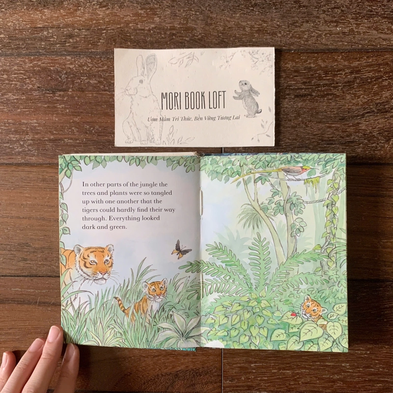 Sách ngoại văn Tiki and Taj the Tiger Twins, Used, Khổ nhỏ, Bìa cứng 498846