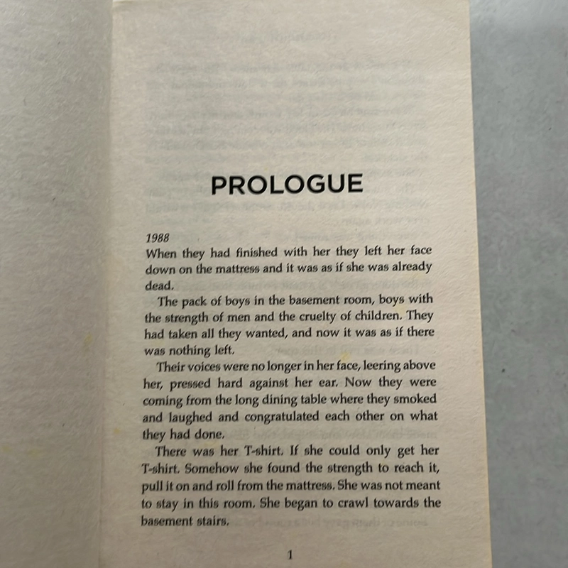 The Murder Bage 509856
