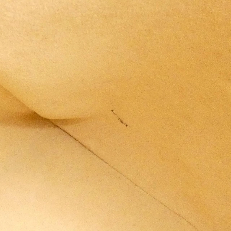 Túi xách vai Louis Vuitton Monogram Looping GM M51145 - Hàng hiệu Chính hãng 803111