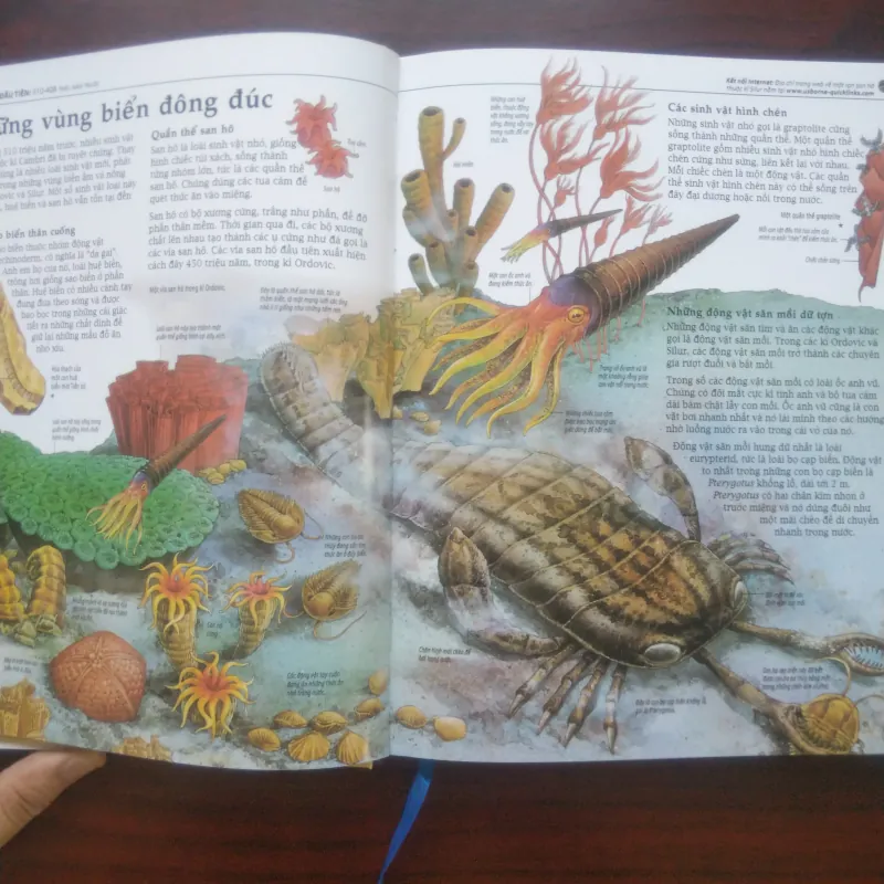 [Sách Màu] Bách Khoa Lịch Sử Thế Giới (Full Color - Mới Đẹp) 801178