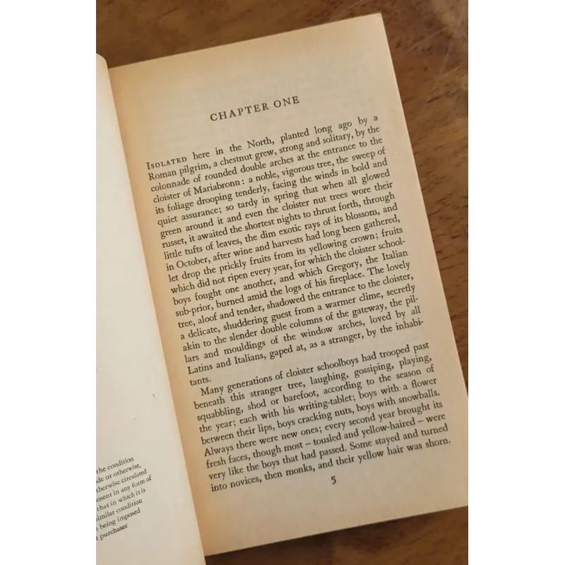Sách ngoại văn Narziss and Goldmund - Herman Hesse 1031987