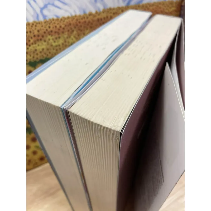 Semantic Error - Lỗi Logic - Trọn Bộ 2 Cuốn 1010678