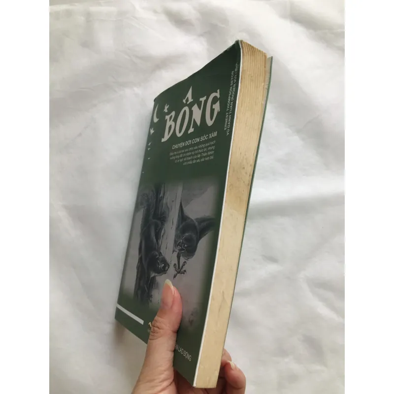 Bông - Chuyện Đời Con Sóc Xám 752153