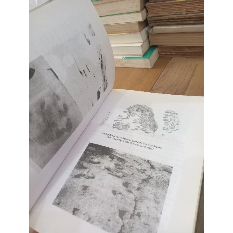 Bí ẩn về người rừng - Mã Tranh 973976