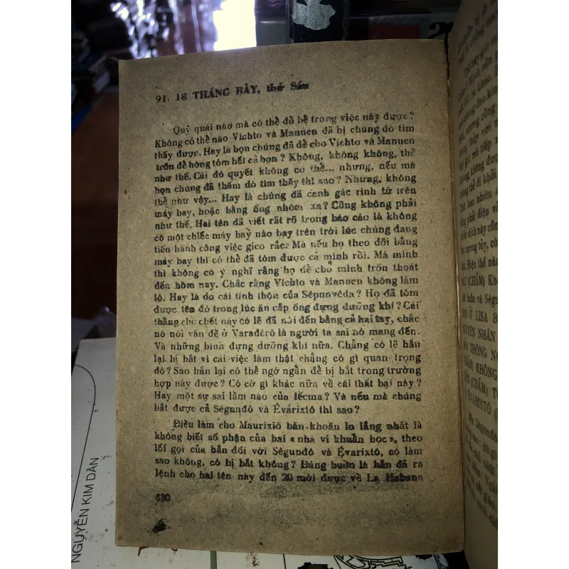 Bóng chim câu trên sóng biển Maiami - Danien Chavaria 789050