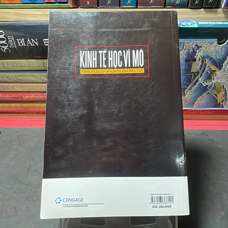Kinh tế học vĩ mô N. Gregory Mankiw 330610