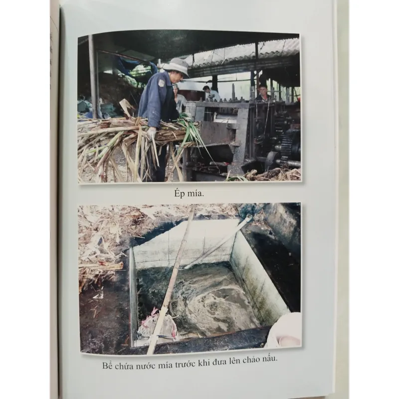 NGHỀ NẤU MÍA ĐƯỜNG THỦ CÔNG TRUYỀN THỐNG Ở VĨNH CỬU 975490