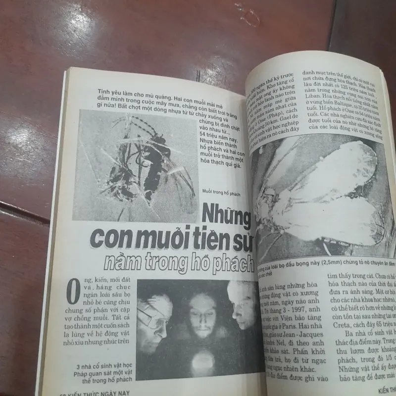 KIẾN THỨC NGÀY NAY số 287 ngày 20.07.1998 593598