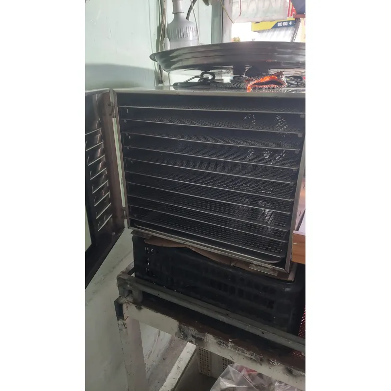 Máy sấy mini sấy khô hoặc sấy dẽo 977644