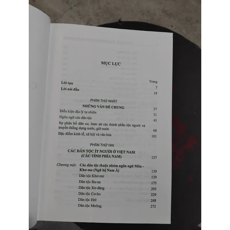 Các dân tộc ít người ở Việt Nam ( các tỉnh phía Nam )  1001906