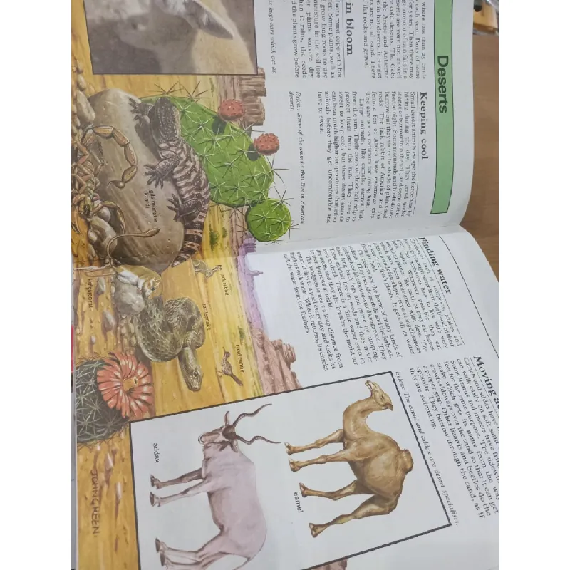 Hamlyn junior encyclopedia 584592
