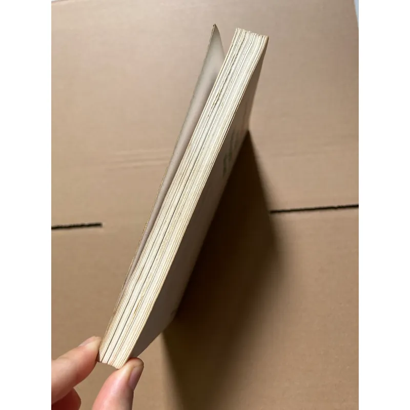 Bảo Đại vị vua triều Nguyễn cuối cùng 703333