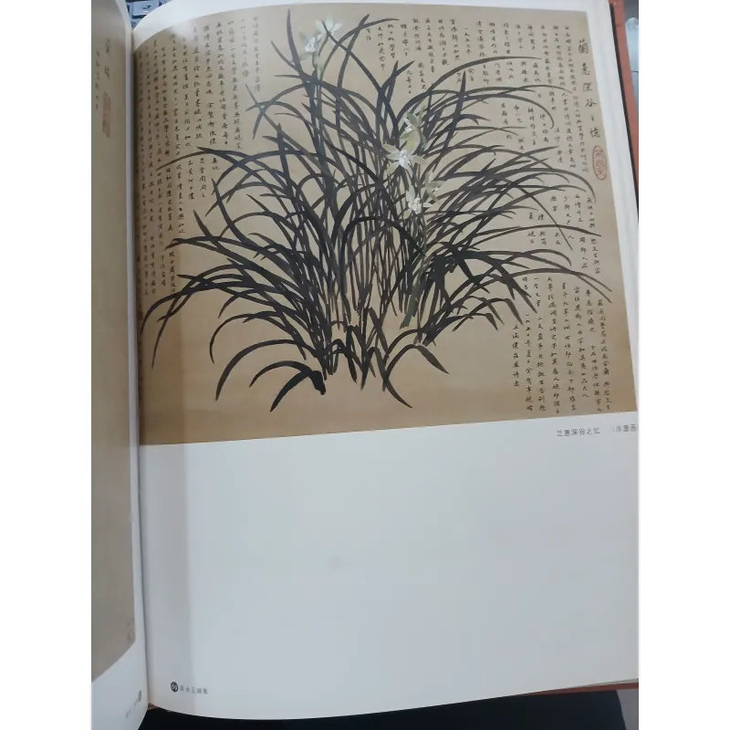 THE ALBUM OF PAINTINGS FOR HUANG YONGYU (TUYỂN TẬP TRANH CỦA HUANG YONGYU) 751646