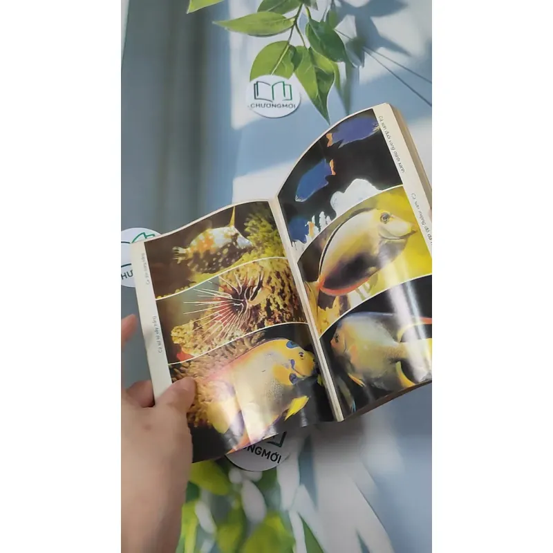 [XƯA] Thú Chơi Cá Kiểng Xưa Và Nay (1996) - Việt Chương 775981