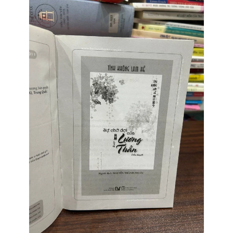 Sự Chờ Đợi Của Lương Thần - Tình Không Lam - Tình Không Lam 1005802