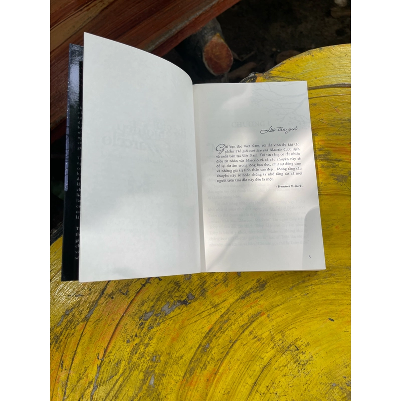 Thế giới tươi đẹp của Marcelo- francisco x stork 474833