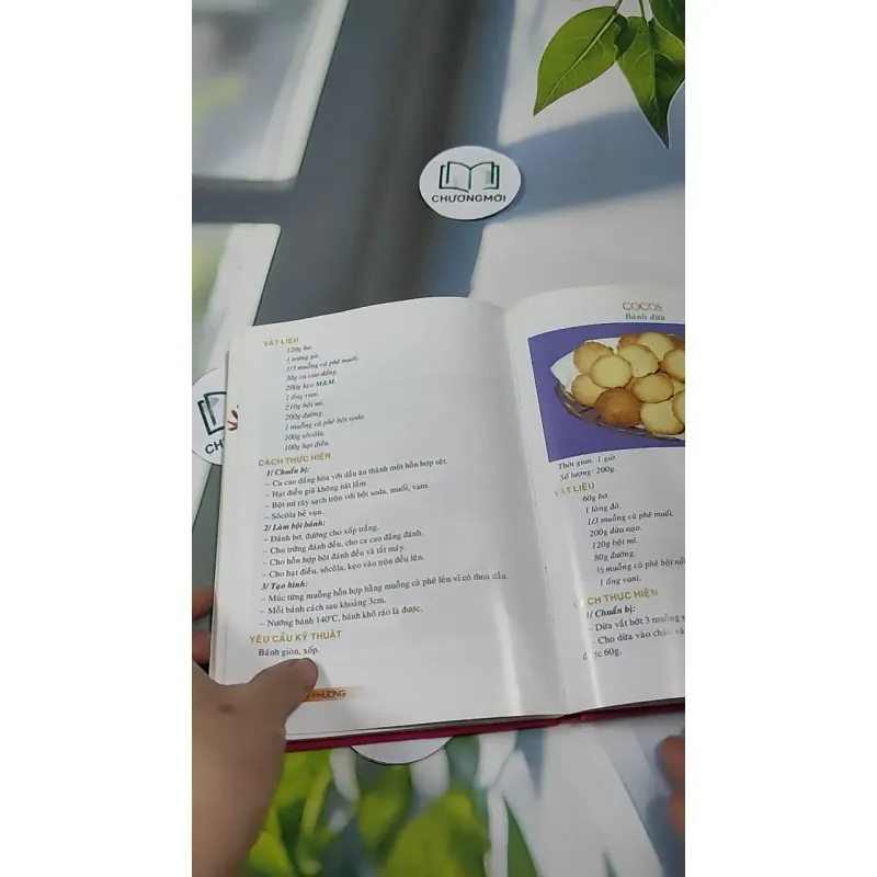 Bánh Tây Phương - Nguyễn Thu Dung & Nguyễn Thị Thanh Nhàn 727309