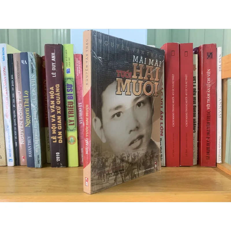 Thánh Gióng, Đinh Tiên Hoàng và mãi mãi tiểu 20 590713