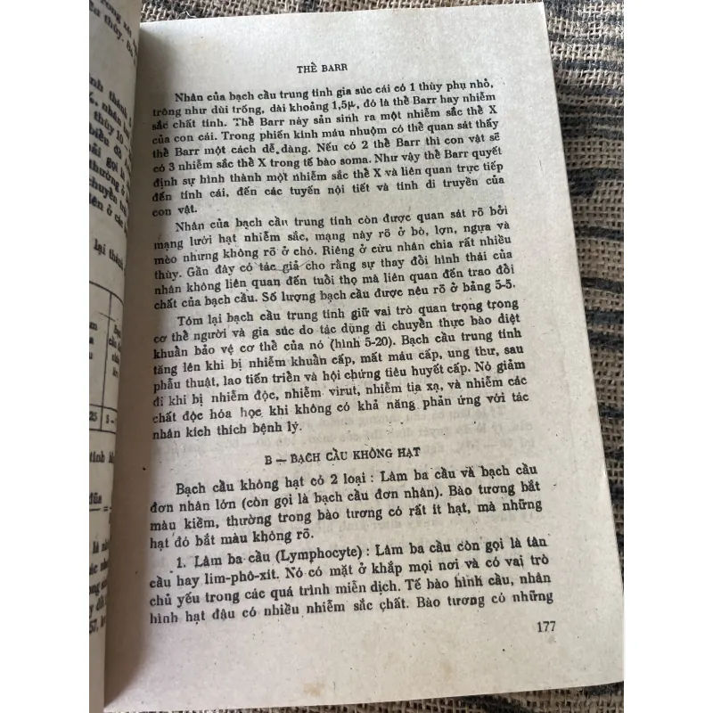 Tổ chức phôi thai học - sách y -650 trang  1020277