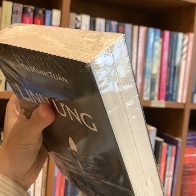 Linh ứng - Nguyễn Mạnh Tuấn  719573