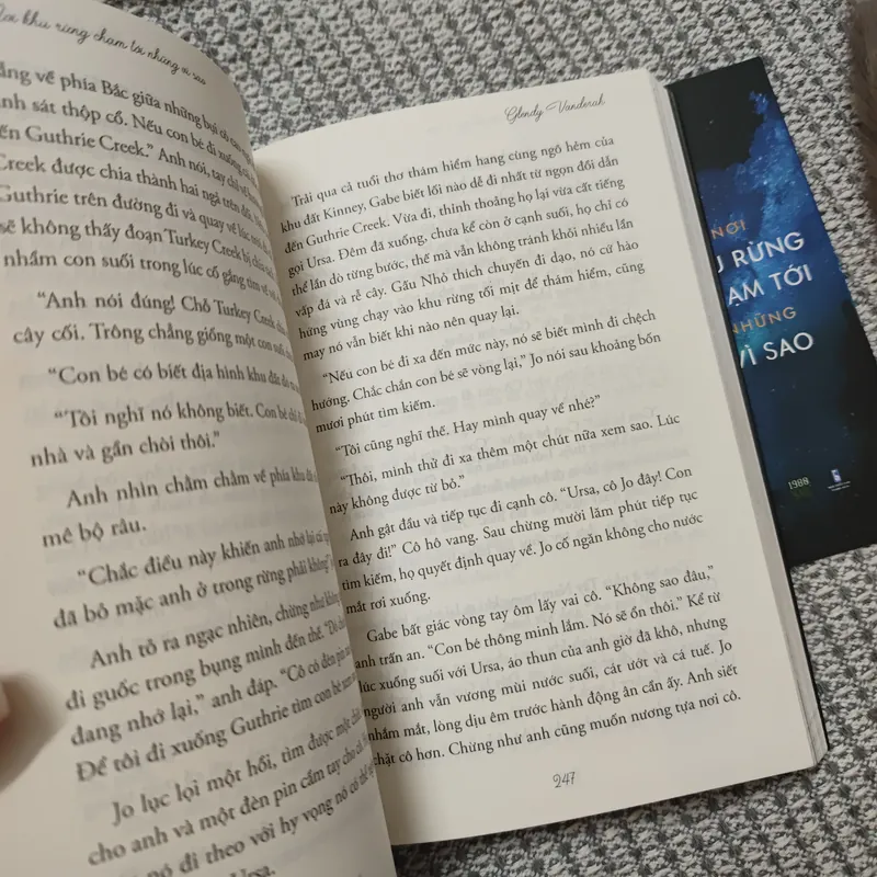 Nơi khu rừng chạm tới những vì sao 736303