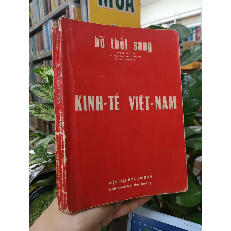 KINH TẾ VIỆT NAM - HỒ THỚI SANG 738333